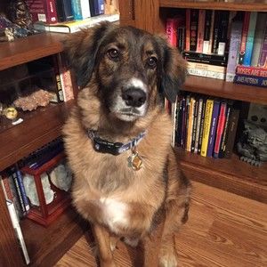 Meet your Posher, Todd